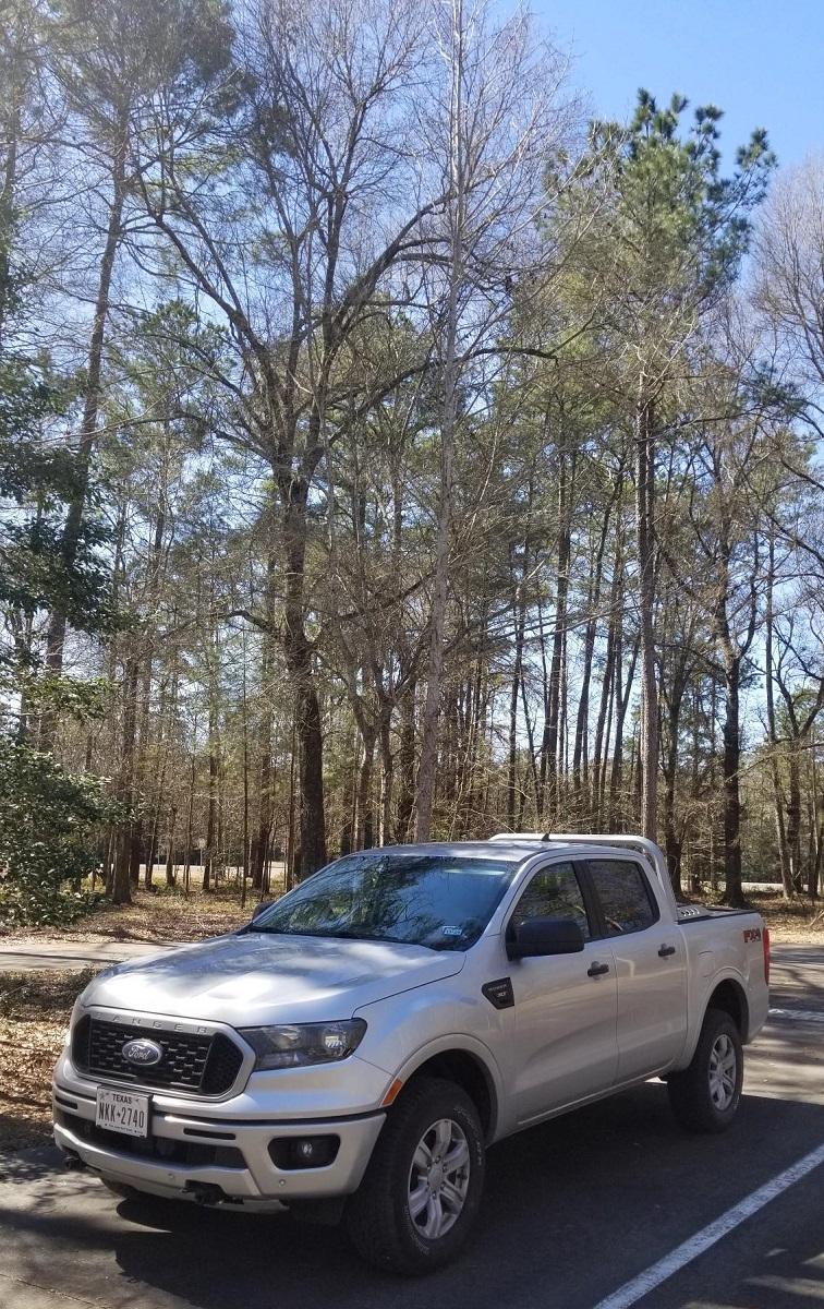 Big Thicket 2.jpg