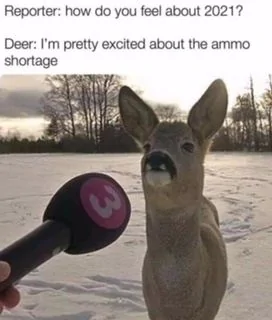ammoshortage.webp
