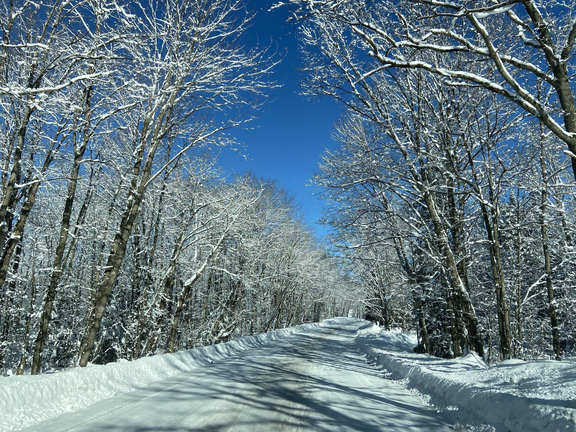 16F1B9AC-8026-479B-962C-953E8577D33A.jpeg