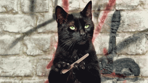 IMG_0722.GIF