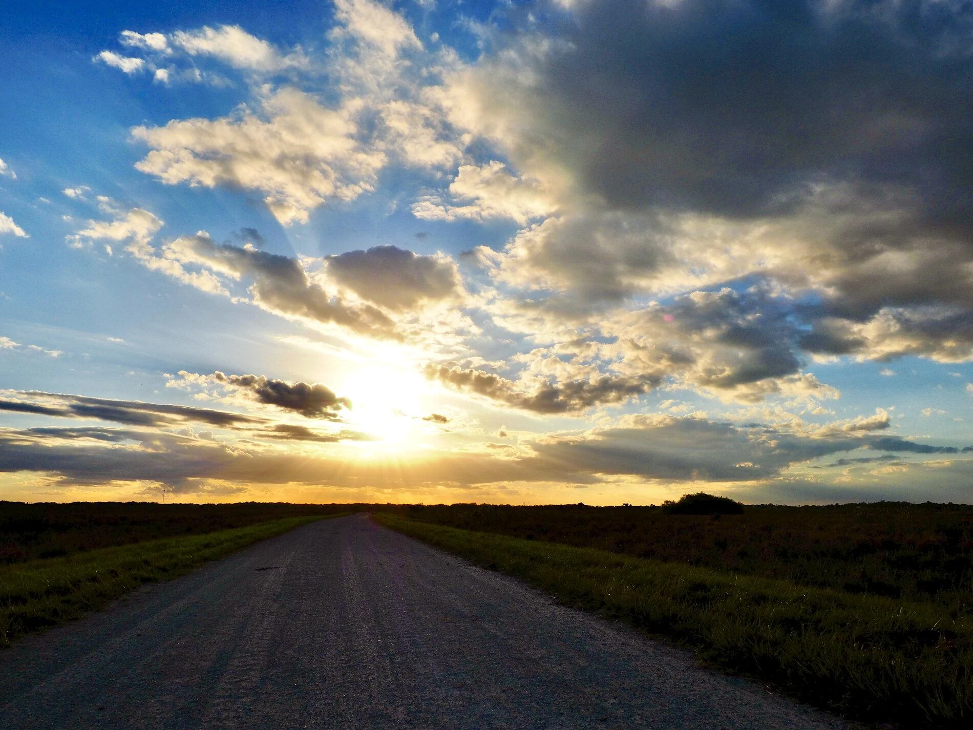 P1010641.webp