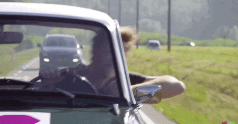 giphy (1).gif