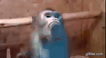 889ddff3b69cc01d1f2af04b425ed054.gif