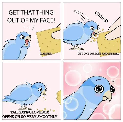 Damper Bird2.webp