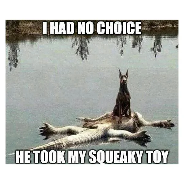 squeakytoy.webp