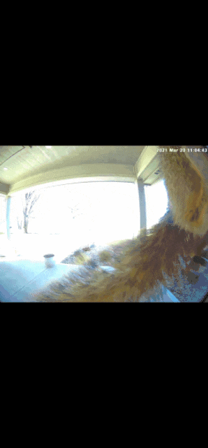 20210320_232625.gif