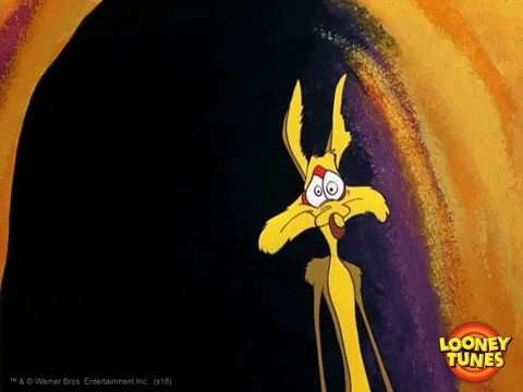 1530E8D8-78C8-4D71-A108-CDFC5E9058D0.gif