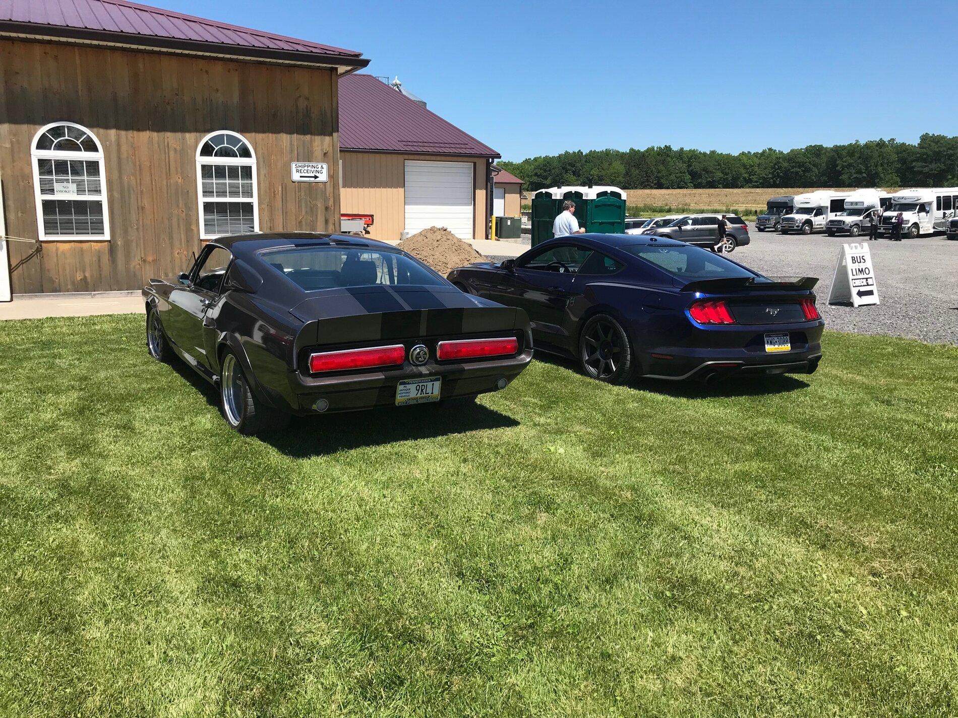IMG_3094_Original.jpg