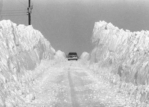 blizzard-1978.png