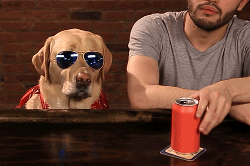 1D653763-74B9-421E-A3D4-F9D53D5CEE20.gif