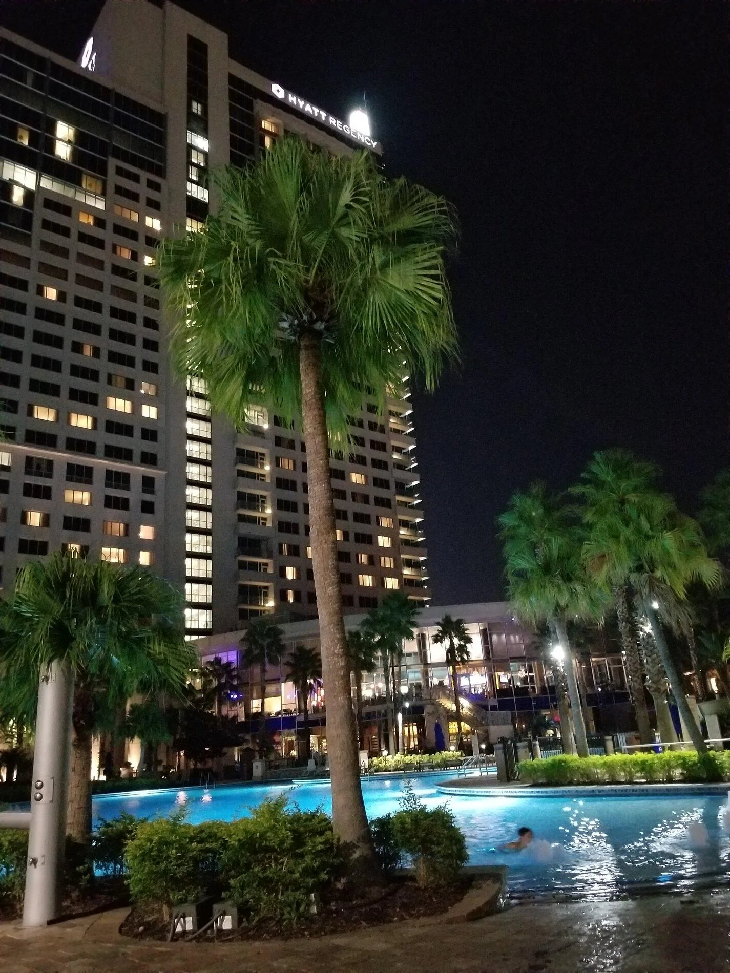 20181121_182511.webp