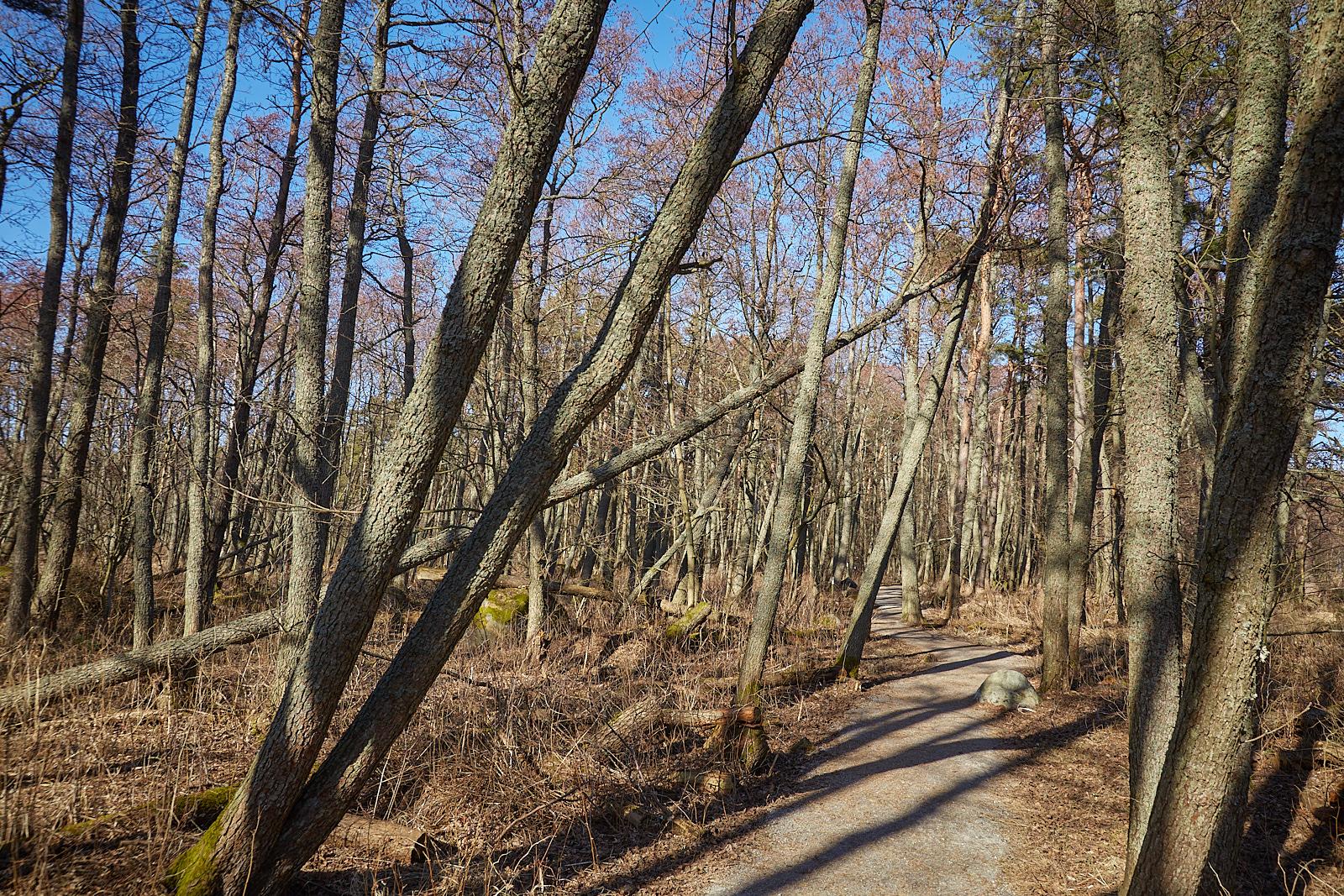_MG_8429.jpg