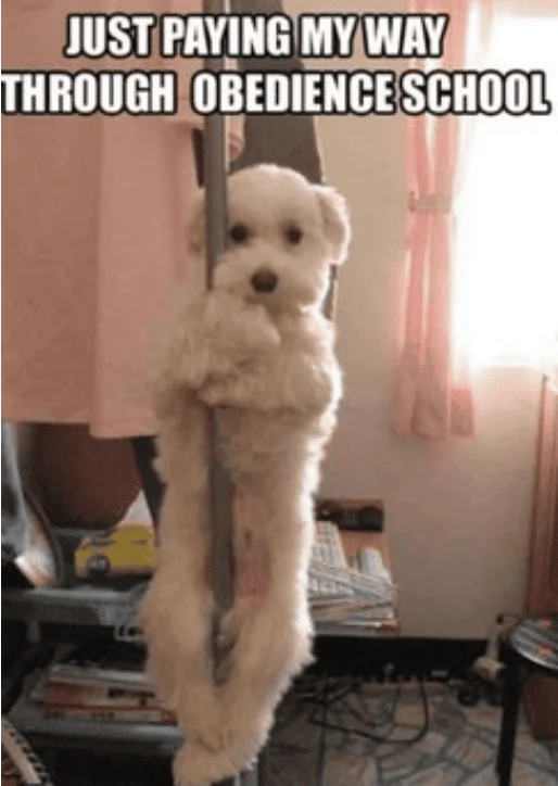 Screenshot_20210405-080252.webp