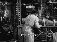 BDF49C10-7C53-476F-A385-B947E17561B3.gif