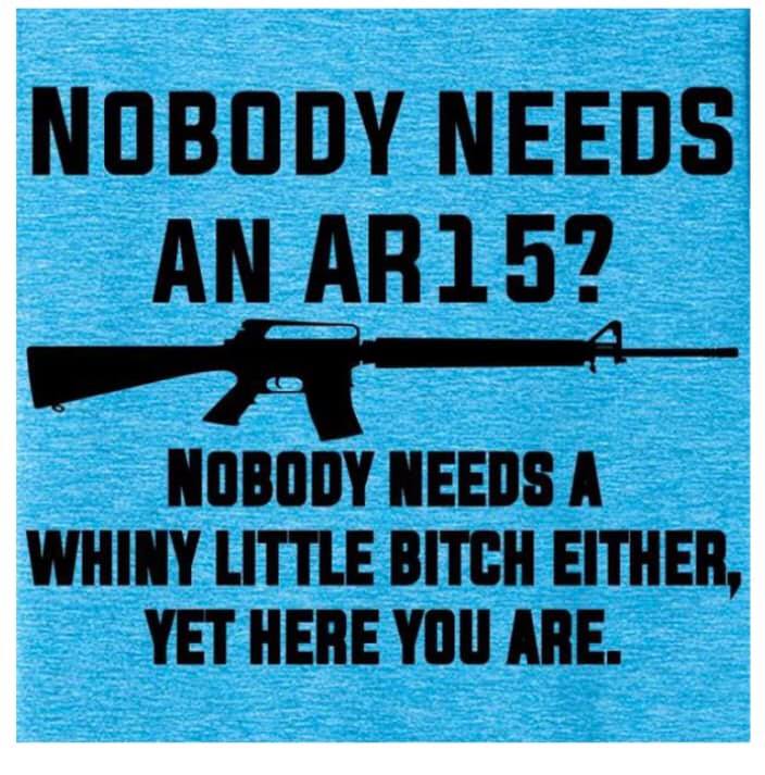 AR15 whiny little bitch.jpg