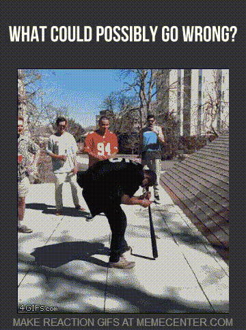 What Could Possibly Go Wrong.gif