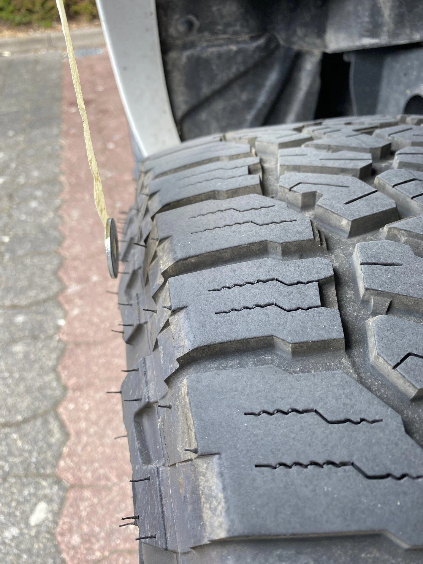 left rear.webp