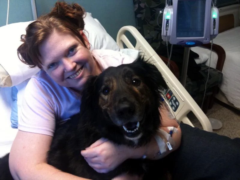 Gromit the therapy dog.jpg