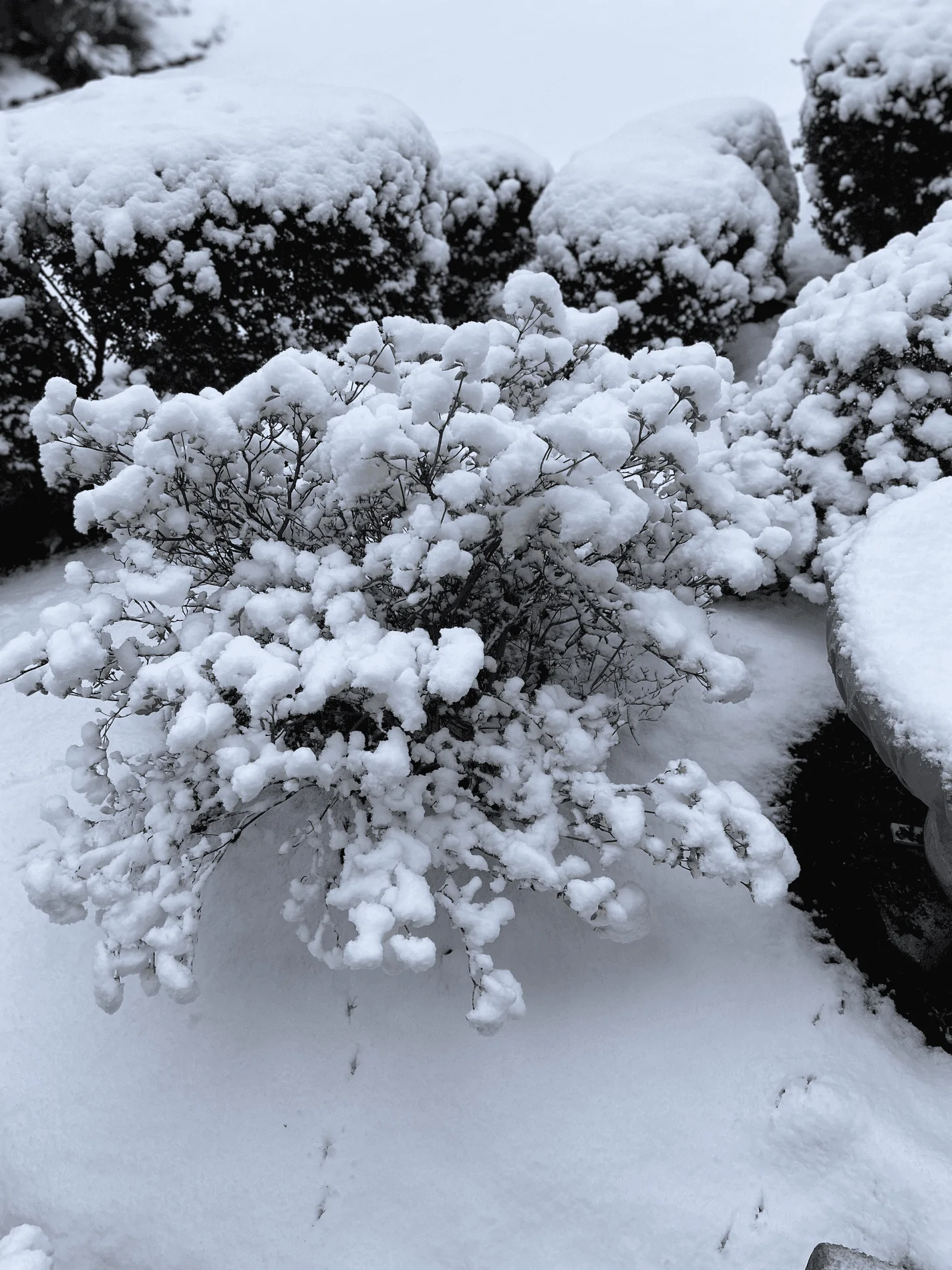 tempImageKIvb4j.webp
