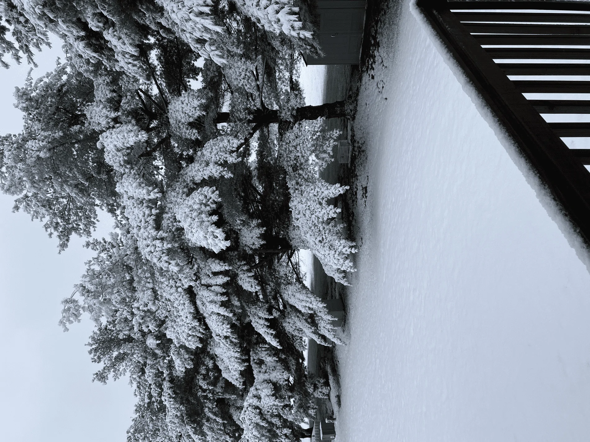 tempImageX3aEwy.webp