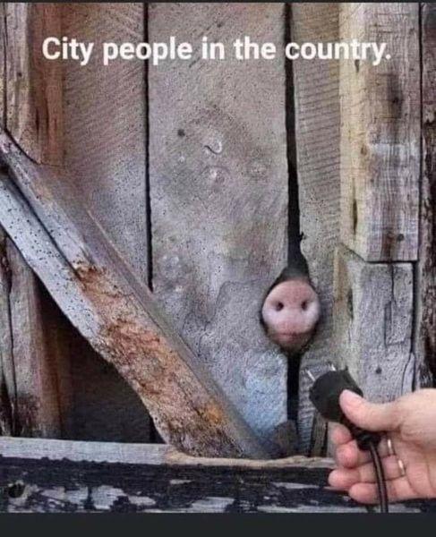 cityfolks.jpg
