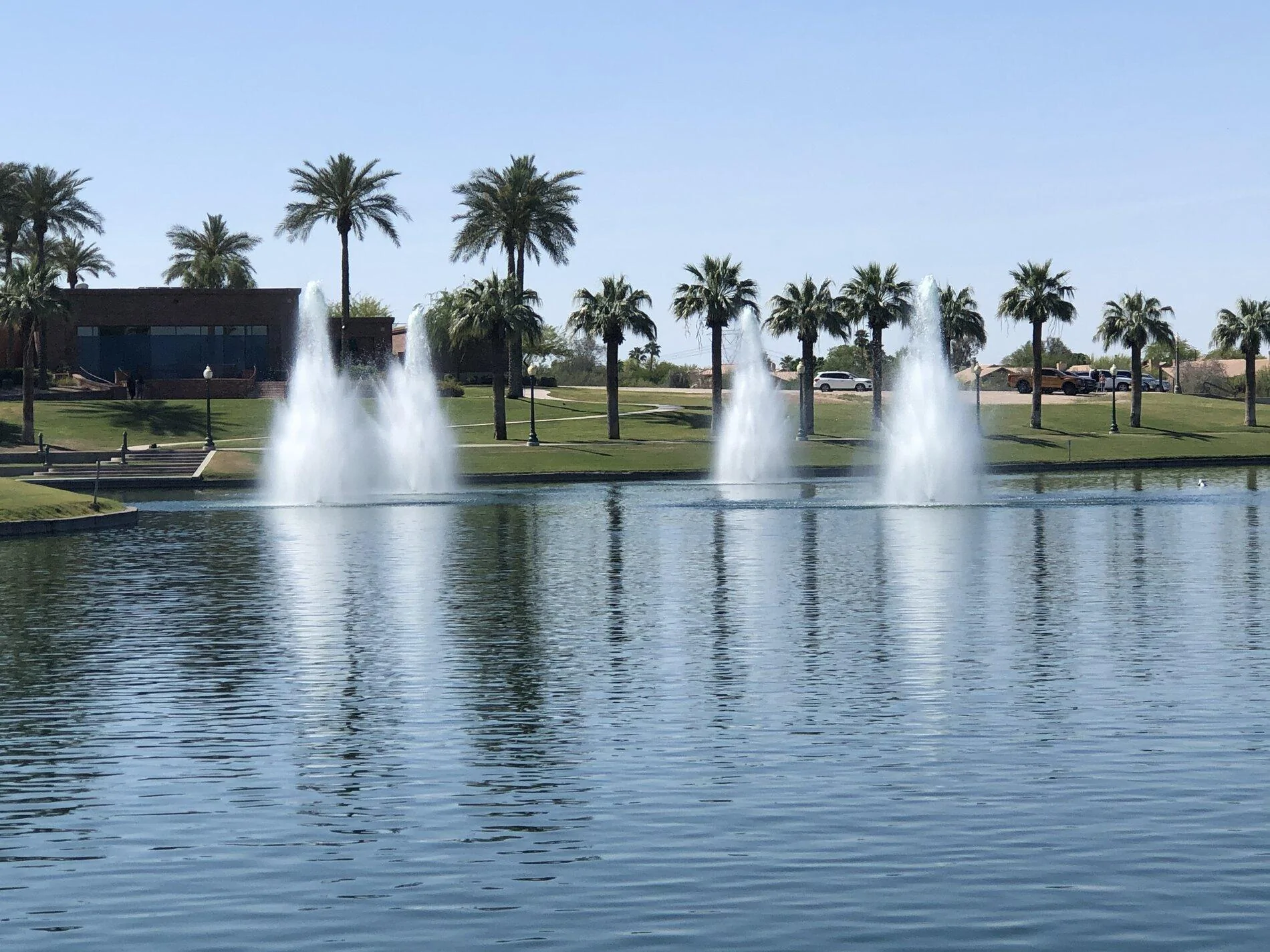 IMG_4003.webp