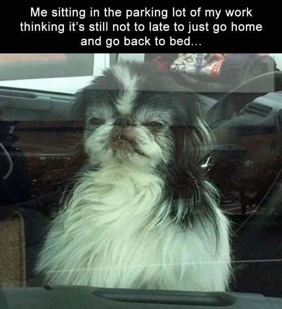 Me Sitting In The Parking Lot At Work.webp