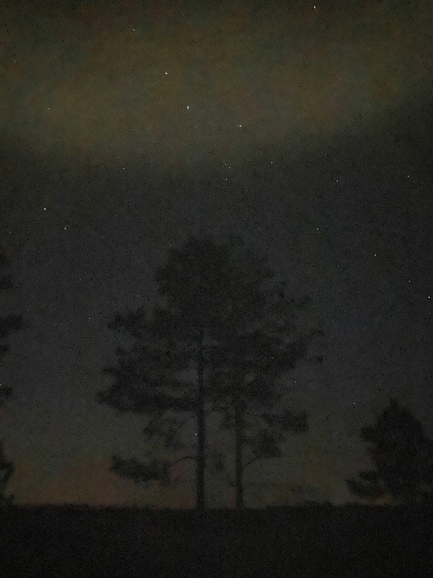 21131985-54D6-4201-A767-498DB2DAED07.jpeg