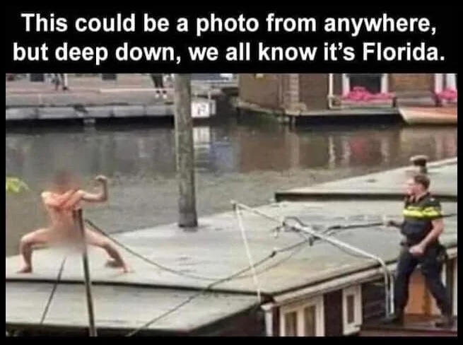 We All Know It's Florida.webp