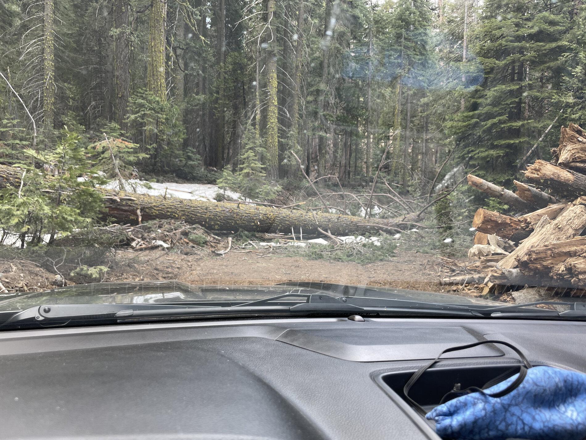 Offroad trail.JPG