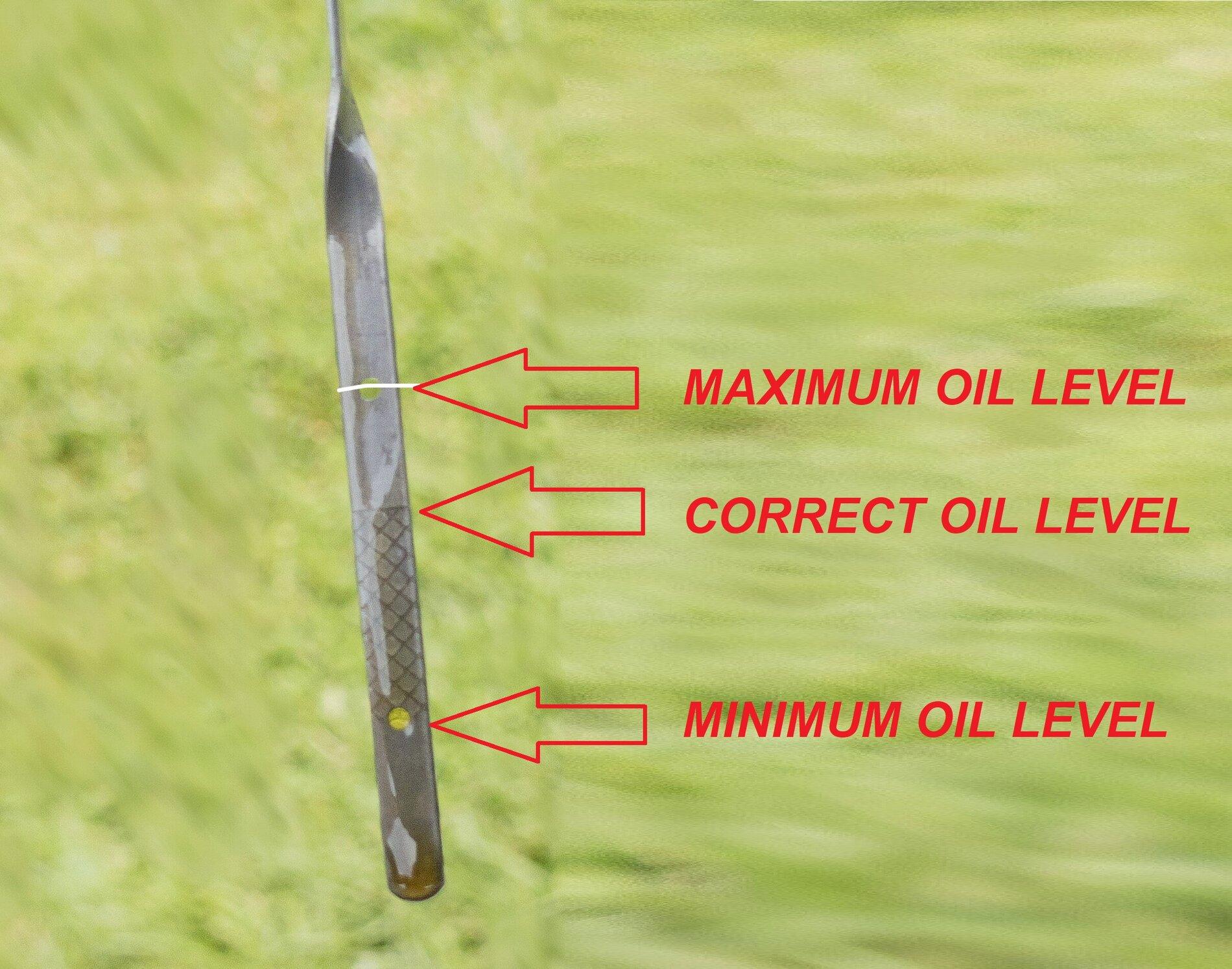 dip stick.jpeg