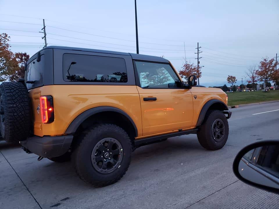 Bronco .jpg