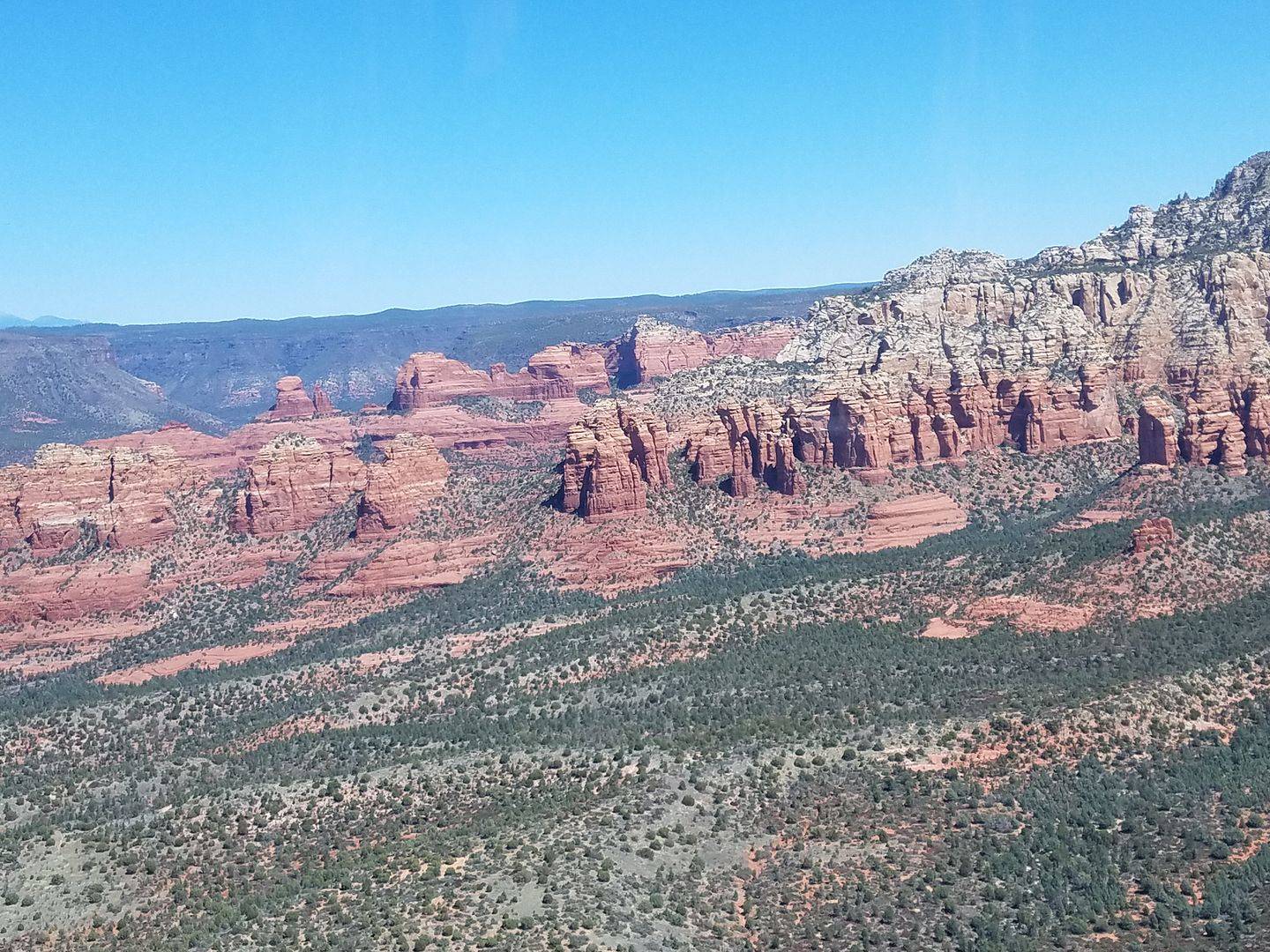 20210410_113737.jpg