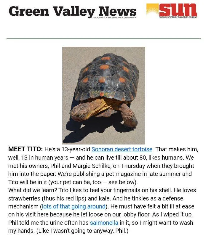 GVNews.webp