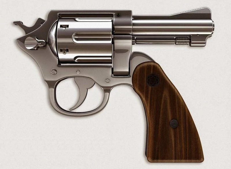 Backwards Pistol.webp