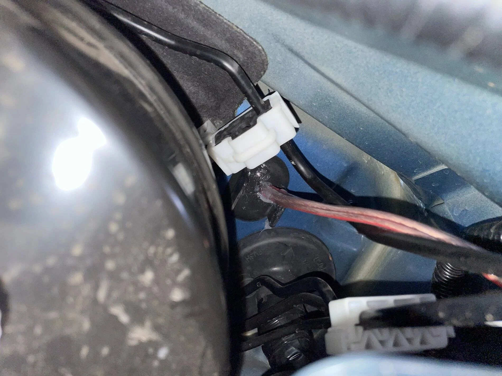 presententry.webp