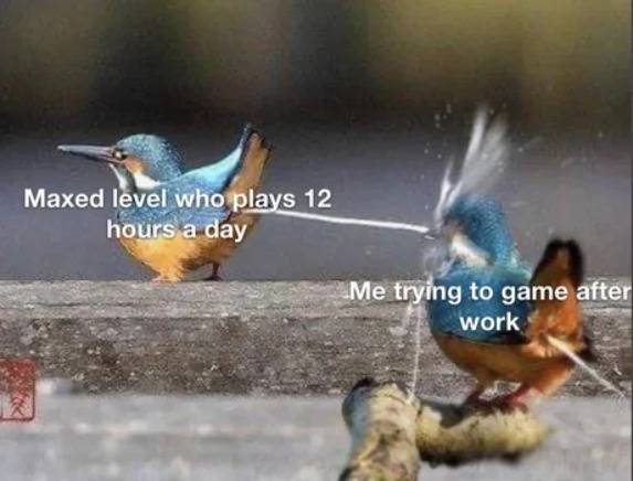 Maxed Level.jpg