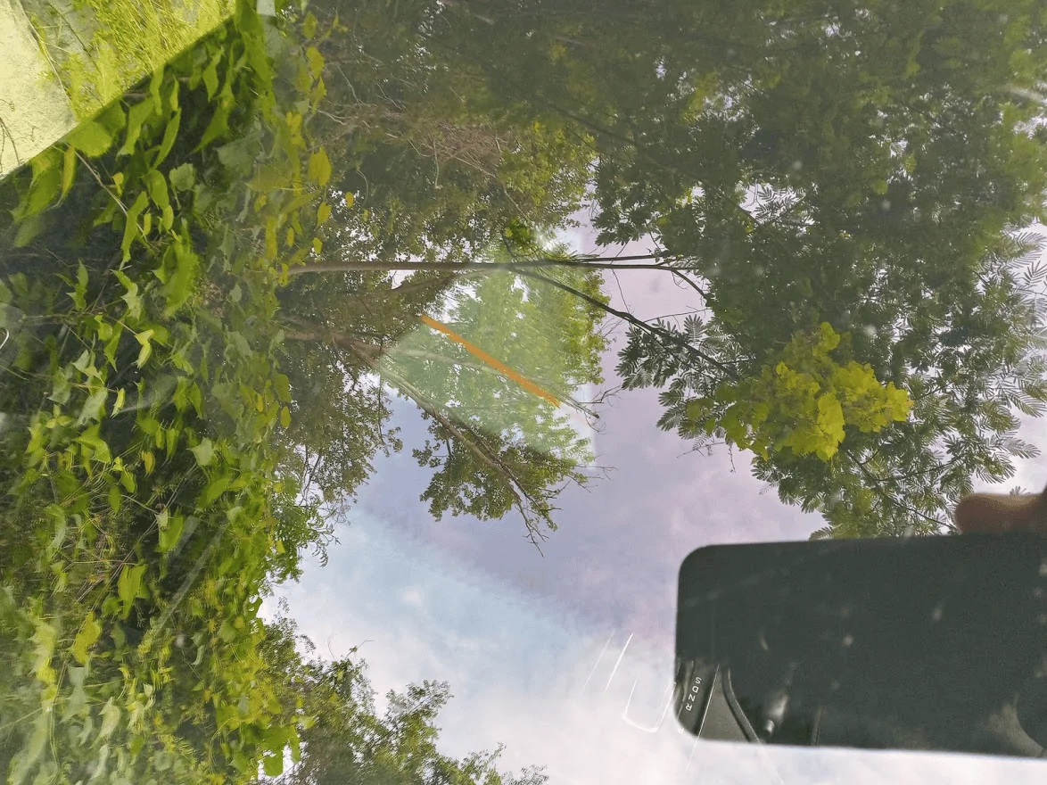 1622736175076.png