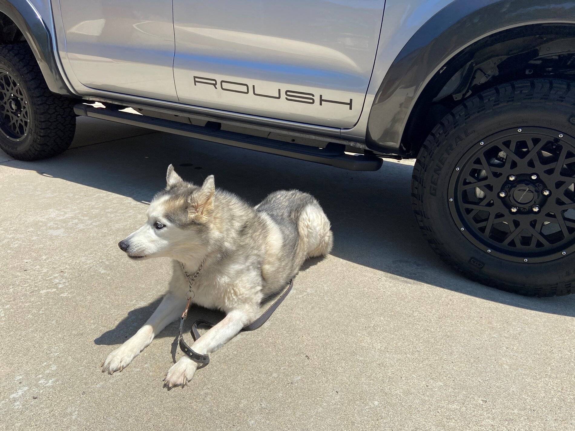 husky roush.jpg