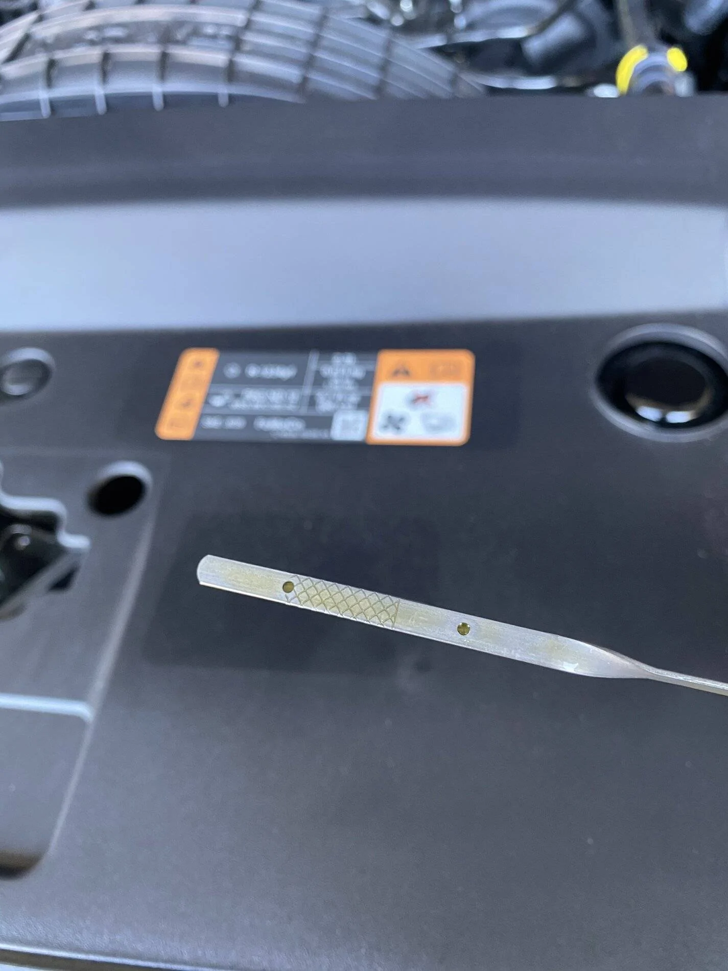 4A302B03-C032-4C2F-AB6A-994B9B574286.webp