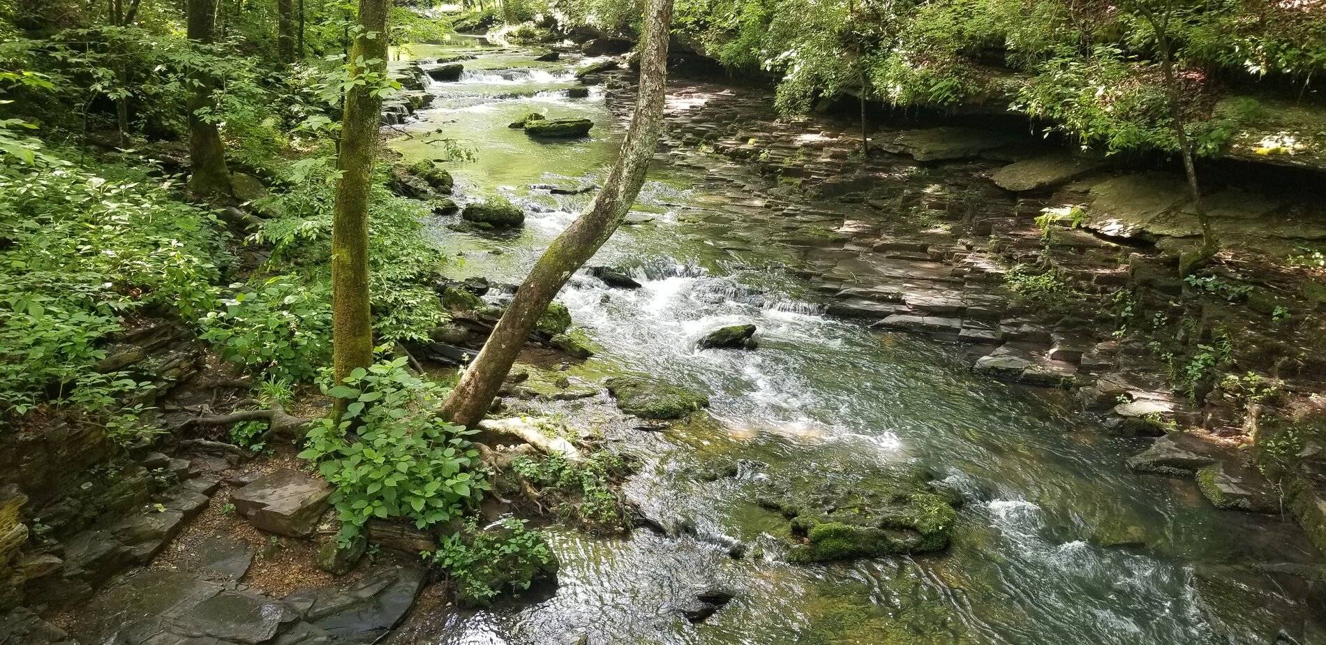 20210604_103745.jpg