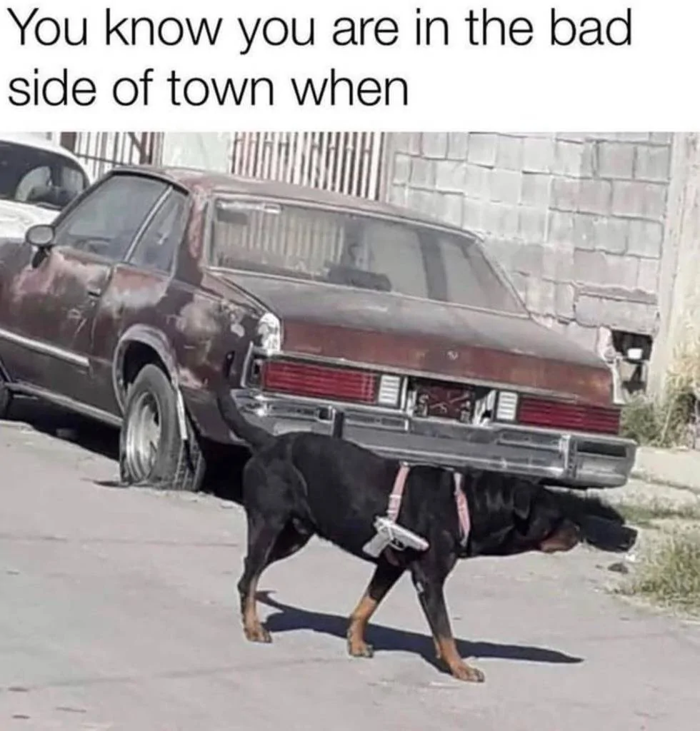Bad Side Of Town.webp