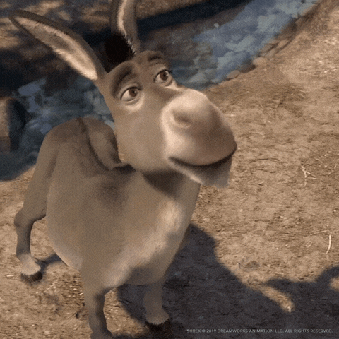 FC0D67F0-4219-4034-BB88-EB992C35CDA4.gif