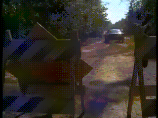 Bandit.gif