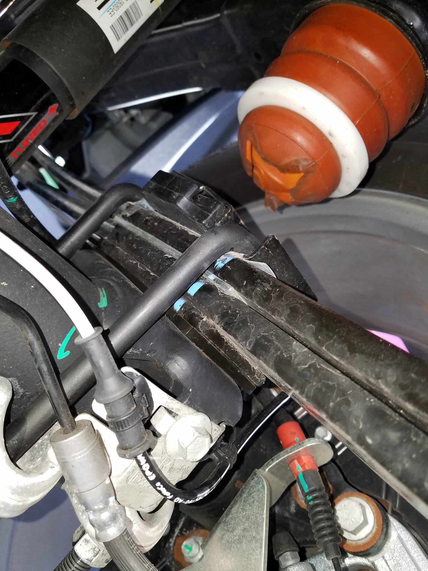 20201124_124813.jpg