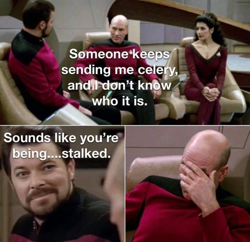 Stalked2.webp