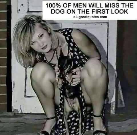 Dog In Pic.jpg