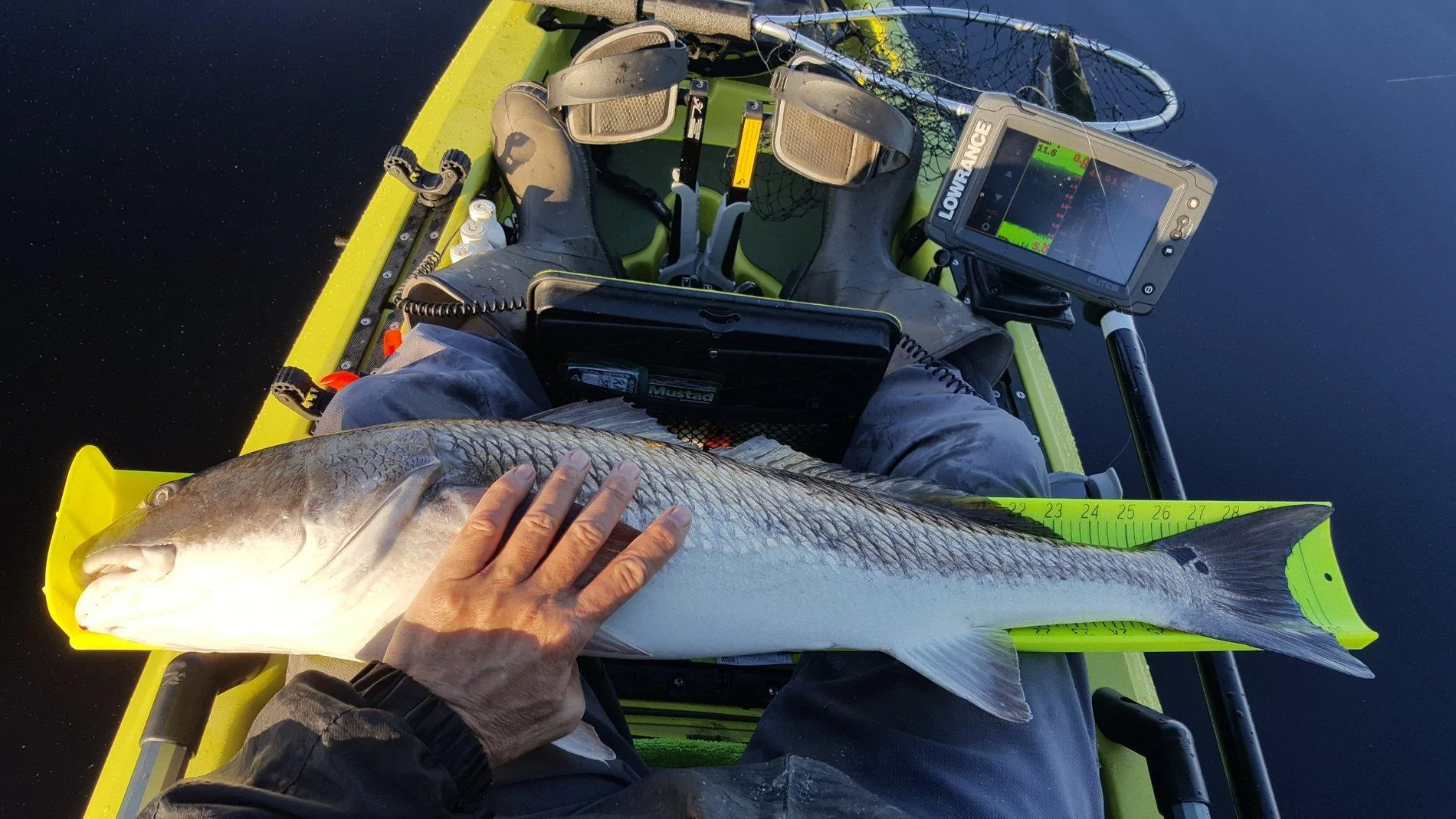 20190427_074347.webp
