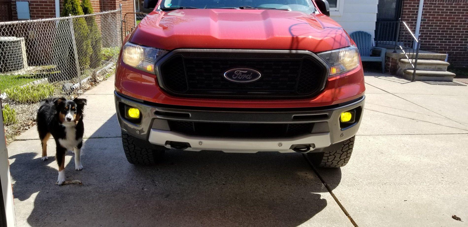 20190428_120112.jpg