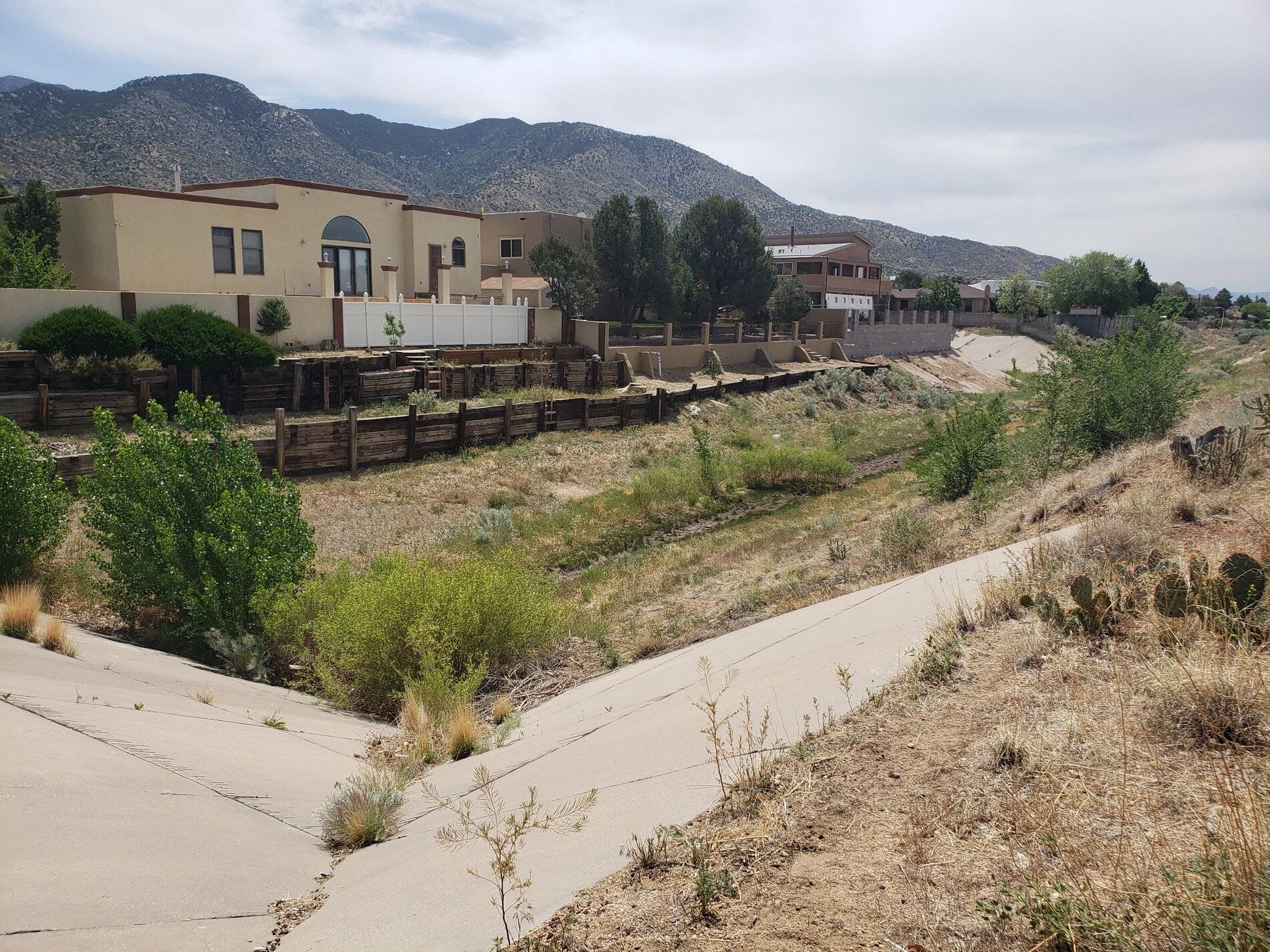 Arroyo 1.jpg